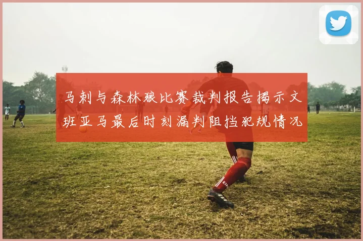 马刺与森林狼比赛裁判报告揭示文班亚马最后时刻漏判阻挡犯规情况
