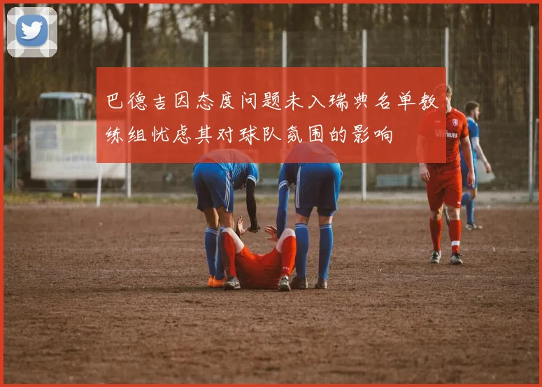 巴德吉因态度问题未入瑞典名单教练组忧虑其对球队氛围的影响