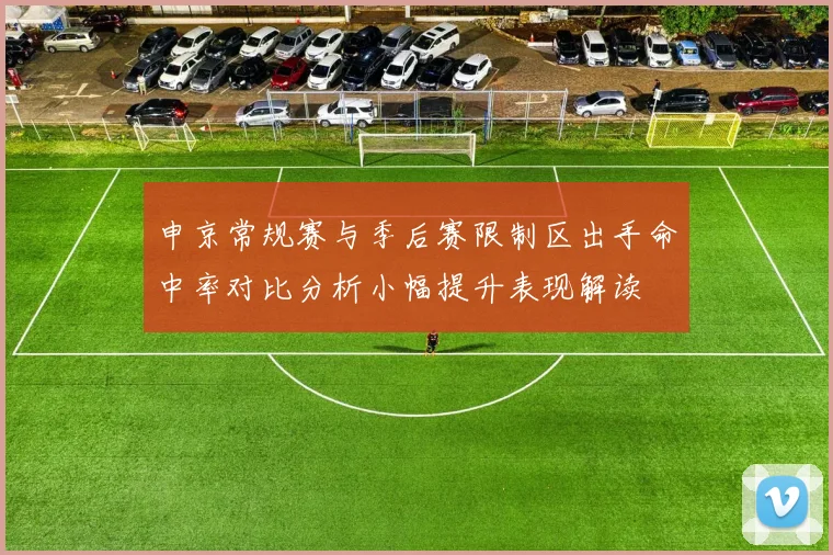 申京常规赛与季后赛限制区出手命中率对比分析小幅提升表现解读