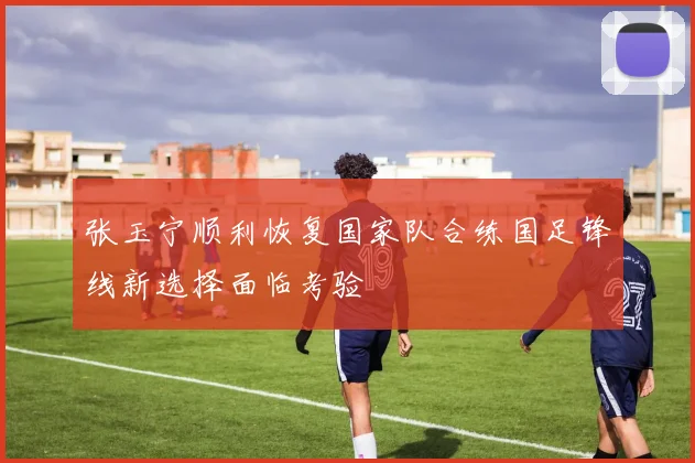 张玉宁顺利恢复国家队合练国足锋线新选择面临考验